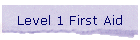 Level 1 First Aid