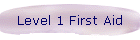 Level 1 First Aid